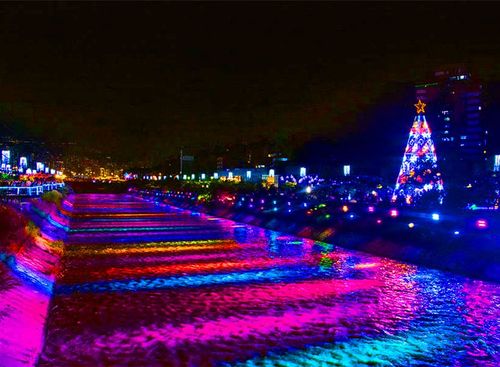 Desde Bucaramanga: Medellín, festival de las luces, Comuna 13, Guatapé, el Peñol y Hacienda Nápoles.
