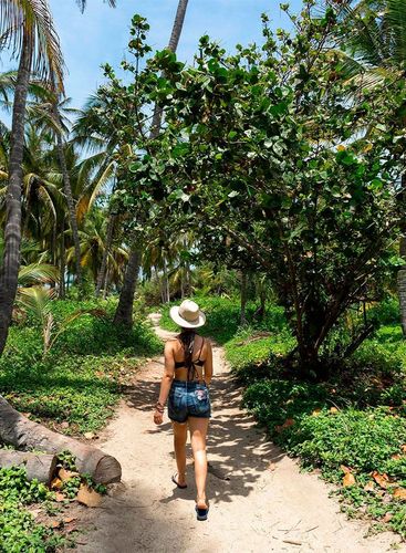 Desde Bucaramanga: Parque Tayrona
