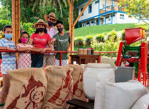 Desde Bucaramanga: Triángulo Cafetero aroma y cultura cafetera (Valle de Cocora)