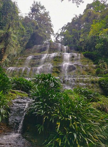 Pasadía Cascada Chaguata