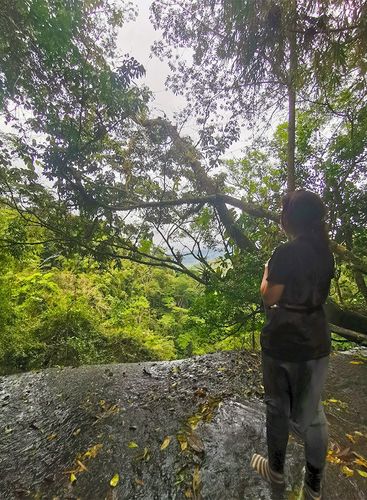 Pasadía Cascada Chaguata
