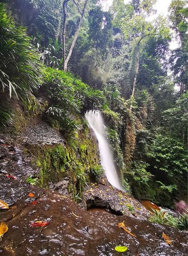 Pasadía Cascada Chaguata
