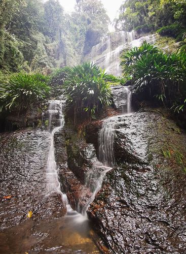 Pasadía Cascada Chaguata