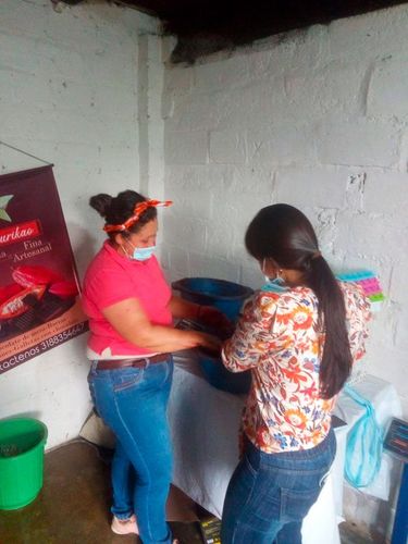Ruta del Cacao
