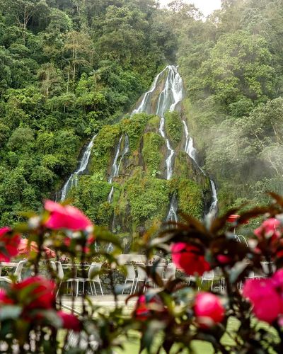 Desde Bucaramanga: Triángulo Cafetero aroma y cultura cafetera (Finlandia)