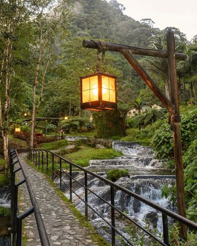 Desde Bucaramanga: Triángulo Cafetero aroma y cultura cafetera (Parque del Café)